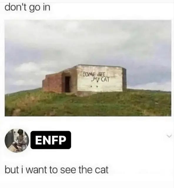 ENFP Memes 