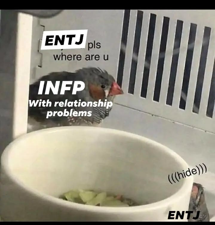 Relatable ENTJ Memes 