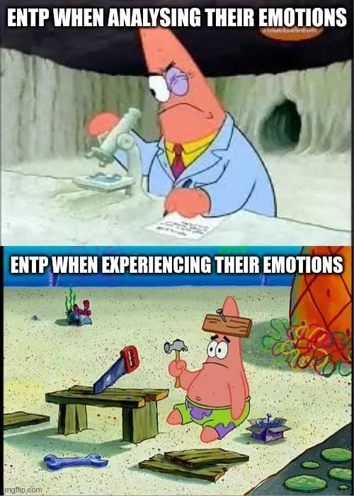 entp memes