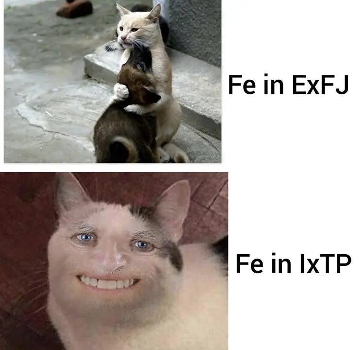 ESFJ Meme 