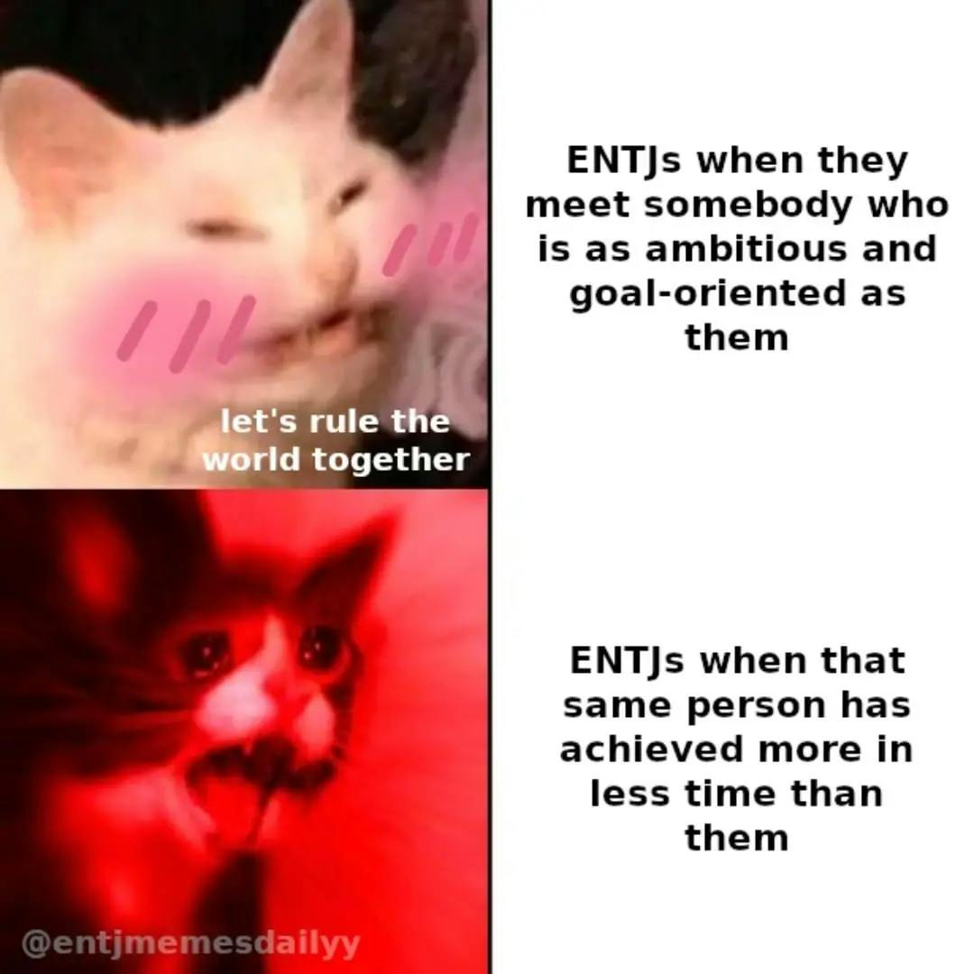 ENTJ Memes