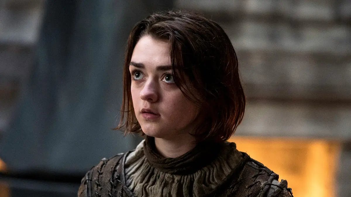 Arya Stark personality type