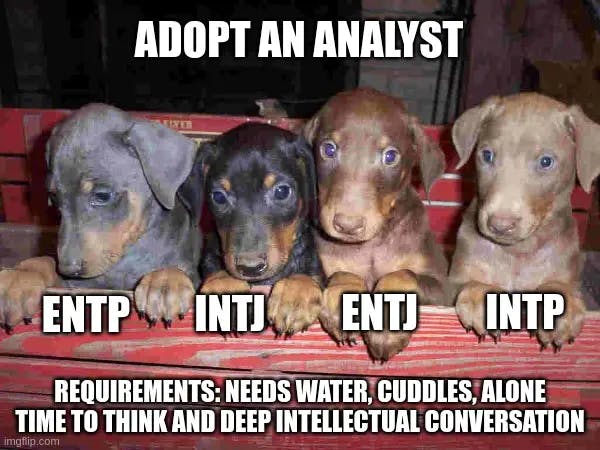 entp memes