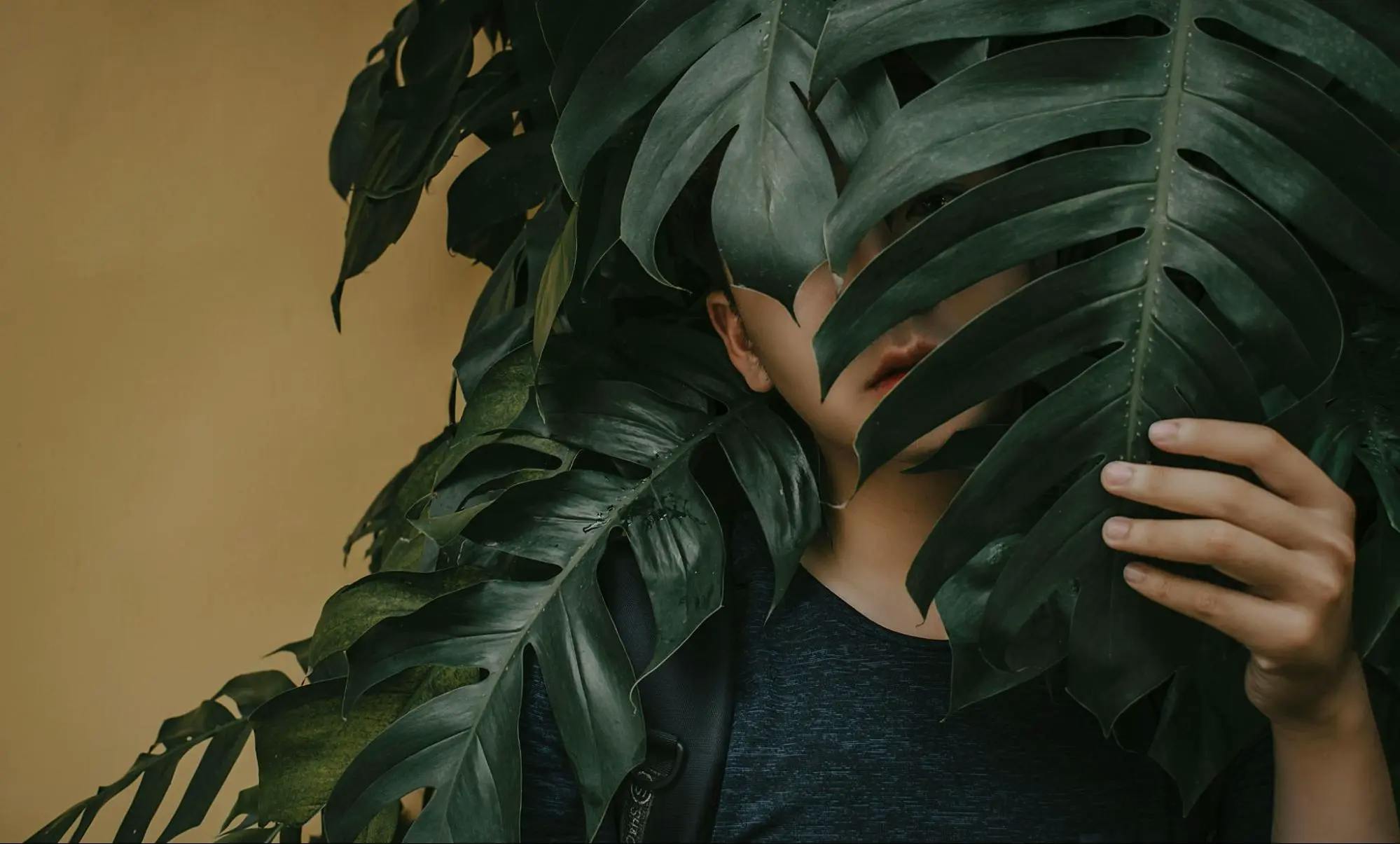 Kid hiding behind a monstera plant