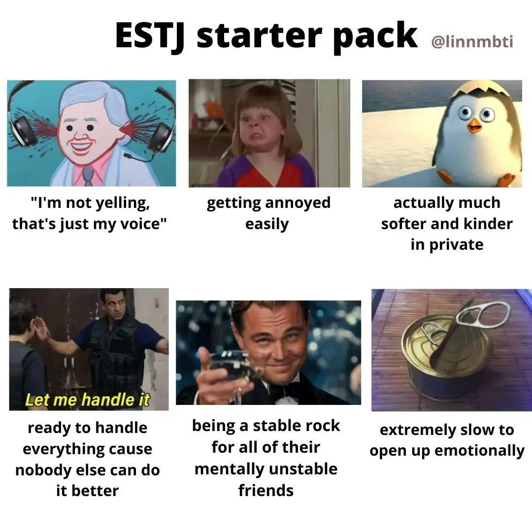 ESTJ Memes 