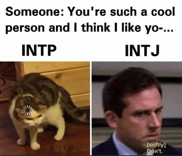 INTP Memes 